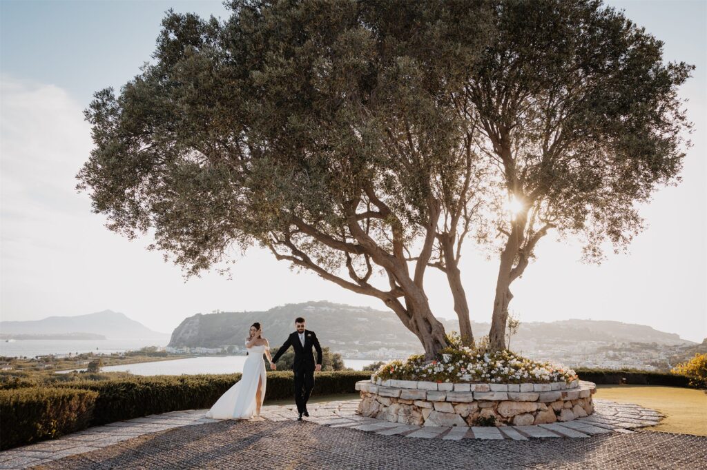 Gli sposi sotto l'ulivo secolare al tramonto, a Villa Punta Pennata, Bacoli